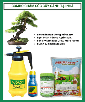 Combo dụng cụ chăm sóc cây cảnh tại nhà