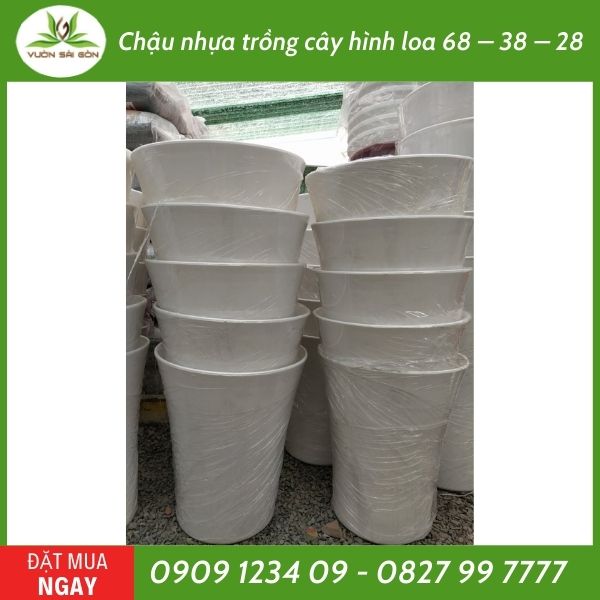 Chậu nhựa trồng cây hình loa 2