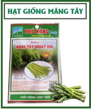Hạt giống măng tây Phú Nông PN
