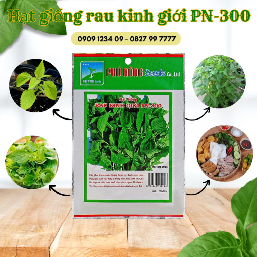 Hạt giống rau kinh giới PN-300 2gr 2