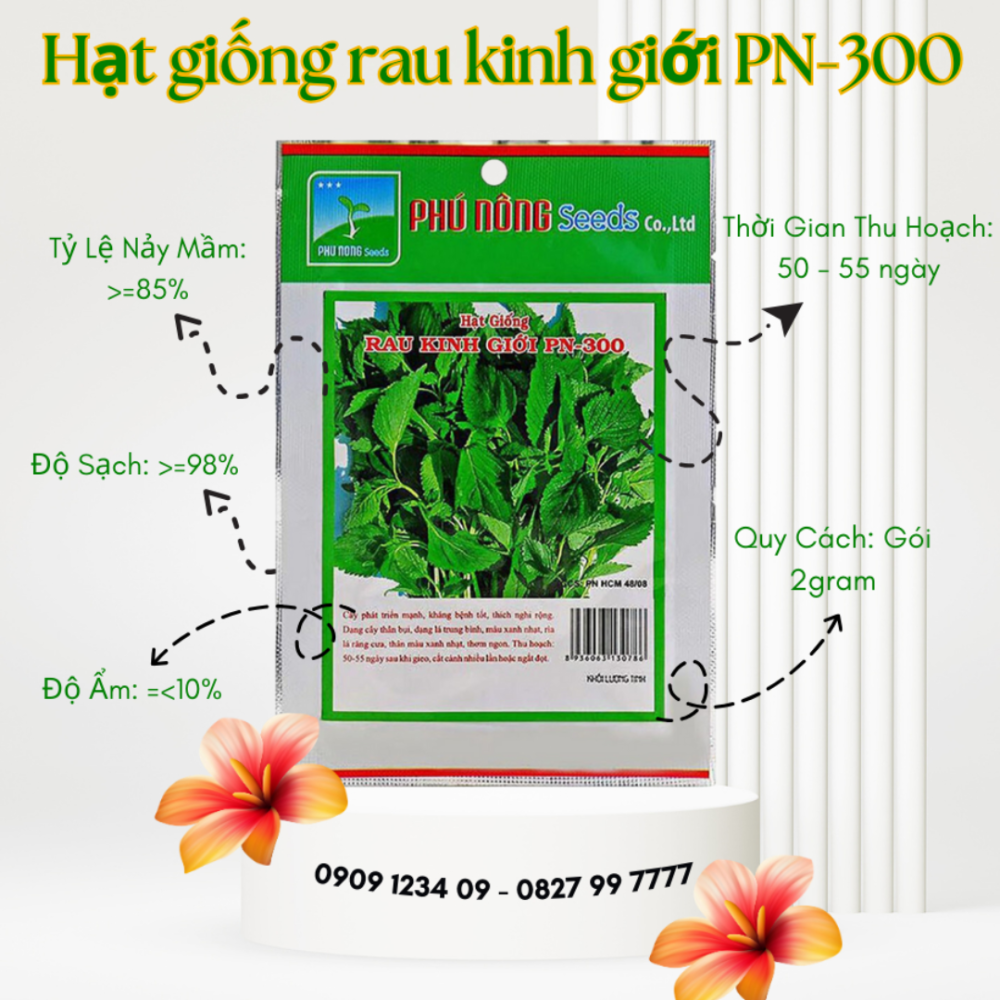 Hạt giống rau kinh giới PN-300 2gr 3
