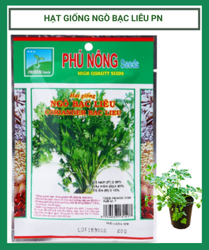 Hạt giống ngò rí Bạc Liêu Phú Nông