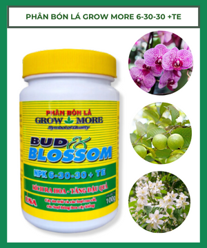 Phân bón lá Grow More 6 30 30+TE ( 100gr và 500gr)