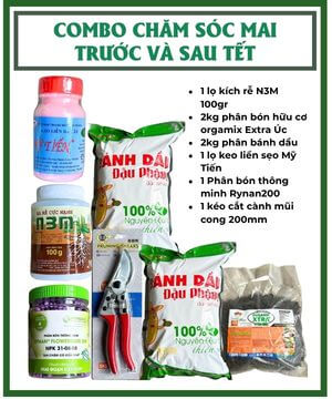 COMBO CHĂM SÓC MAI SAU TẾT