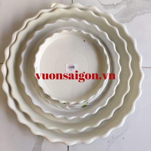 Đĩa nhựa lót chậu cây, đĩa hứng nước hình tròn 2