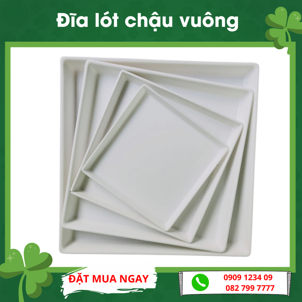 Đĩa vuông lót chậu cây, hứng nước từ chậu 2