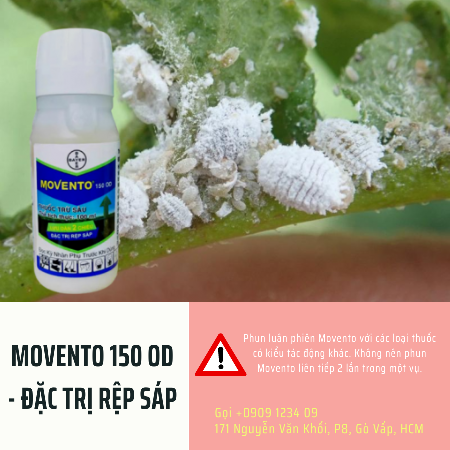 MOVENTO 150 OD – Đặc Trị Rệp sáp 2