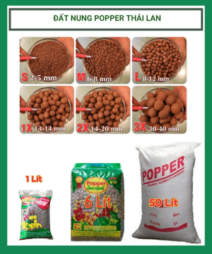 Đất nung Popper – sỏi nhẹ trồng cây của bạn