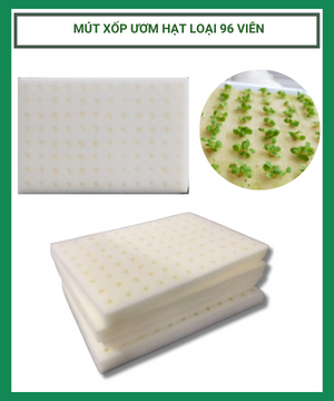 Mút xốp ươm hạt loại 96 viên trồng rau thủy canh