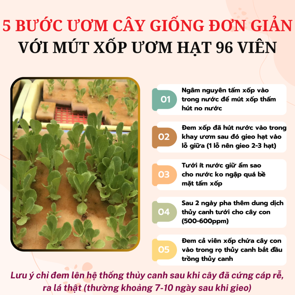 Mút xốp ươm hạt loại 96 viên trồng rau thủy canh 3