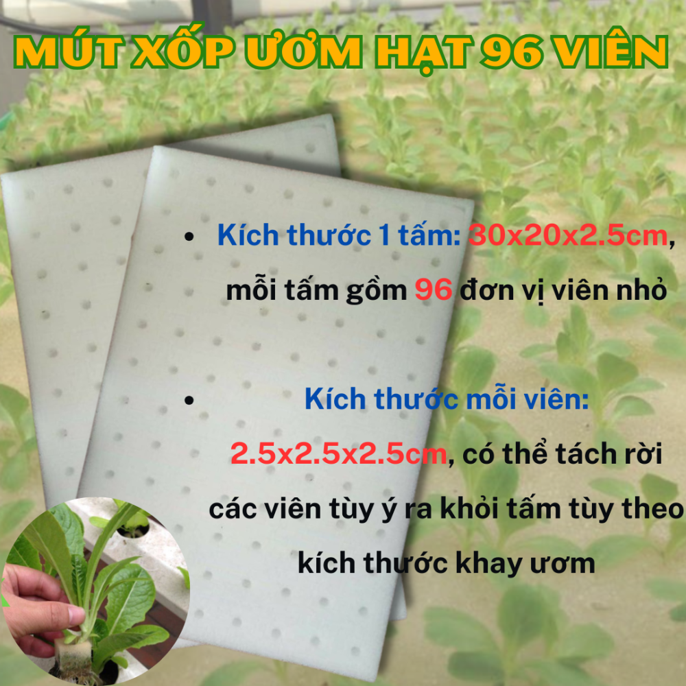 Mút xốp ươm hạt loại 96 viên trồng rau thủy canh 2
