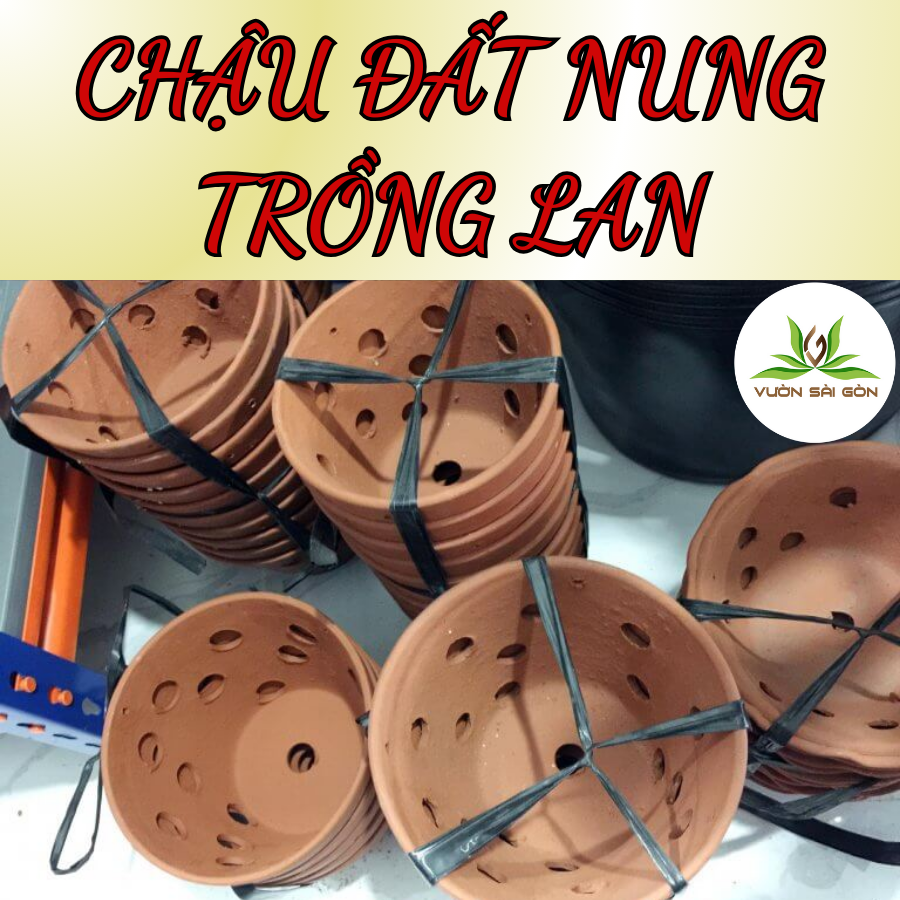 Chậu đất nung trồng lan 3