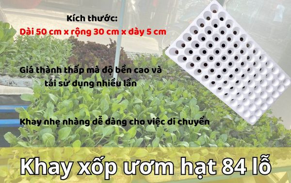 Khay xốp ươm cây 84 lỗ – Khay ươm hạt giống 2