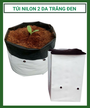 Túi Nilon 2 Da Trắng Đen trồng dưa gọn nhẹ, giá rẻ