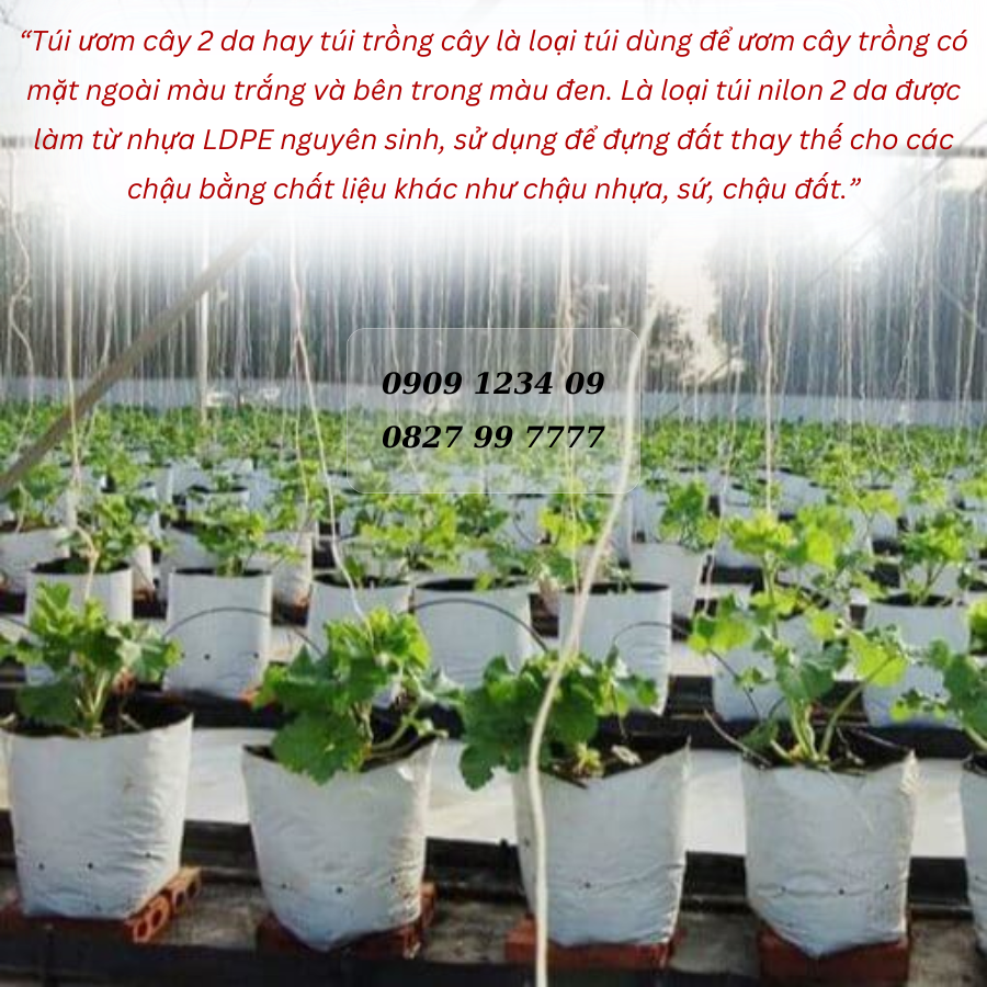 Túi Nilon 2 Da Trắng Đen trồng dưa gọn nhẹ, giá rẻ 2
