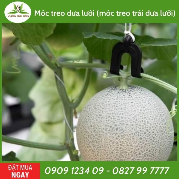 Móc treo dưa lưới (móc treo trái dưa lưới) 2