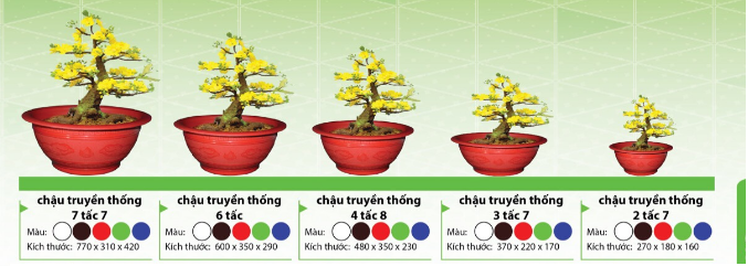 Chậu nhựa tròn trồng cây chậu truyền thống 2