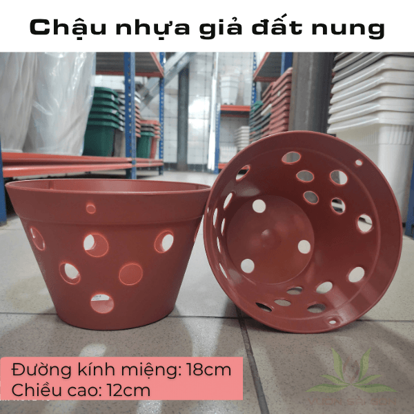 Chậu nhựa giả đất nung trồng lan 3
