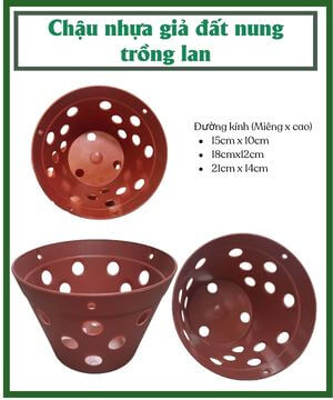 Chậu nhựa giả đất nung trồng lan