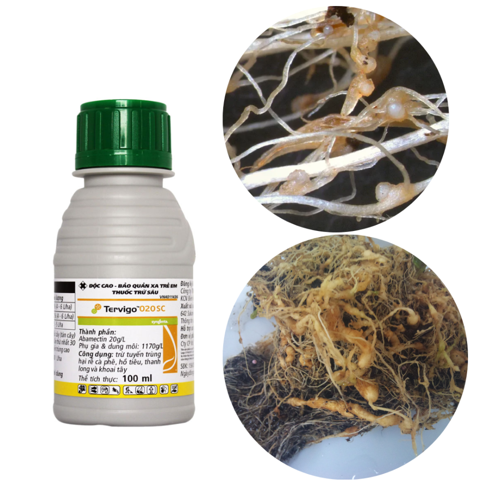 Thuốc trị tuyến trùng rễ Syngenta Tervigo 020SC 2
