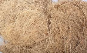 Xơ dừa sợi ( chỉ dừa) trồng lan đã qua xử lý 2