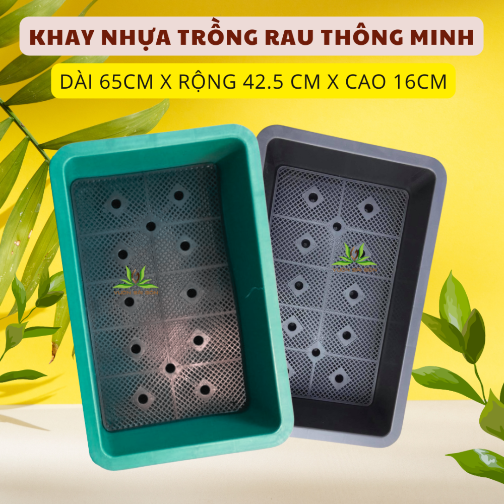Khay nhựa trồng rau thông minh 2