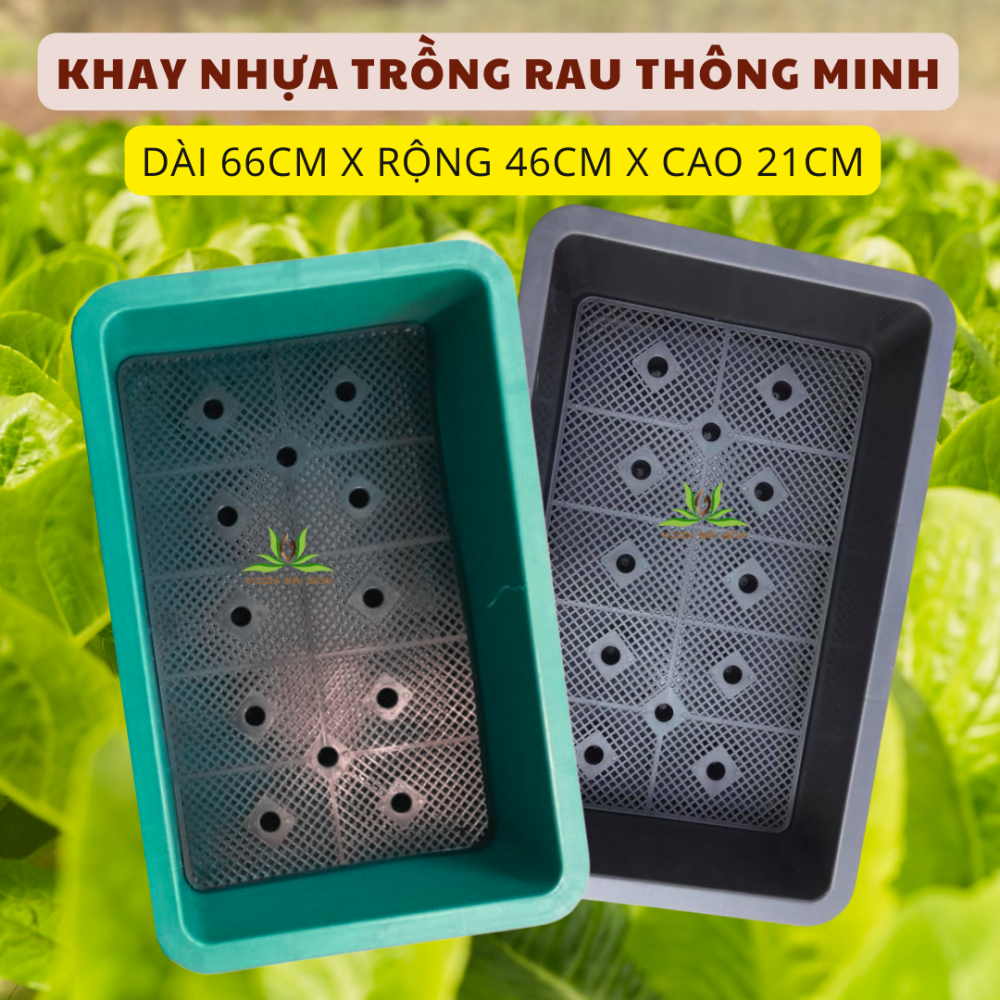 Khay nhựa trồng rau thông minh 3