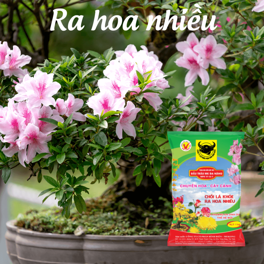 Phân bón đầu trâu đa năng NPK 17-12-7+TE (gói 1kg) 3
