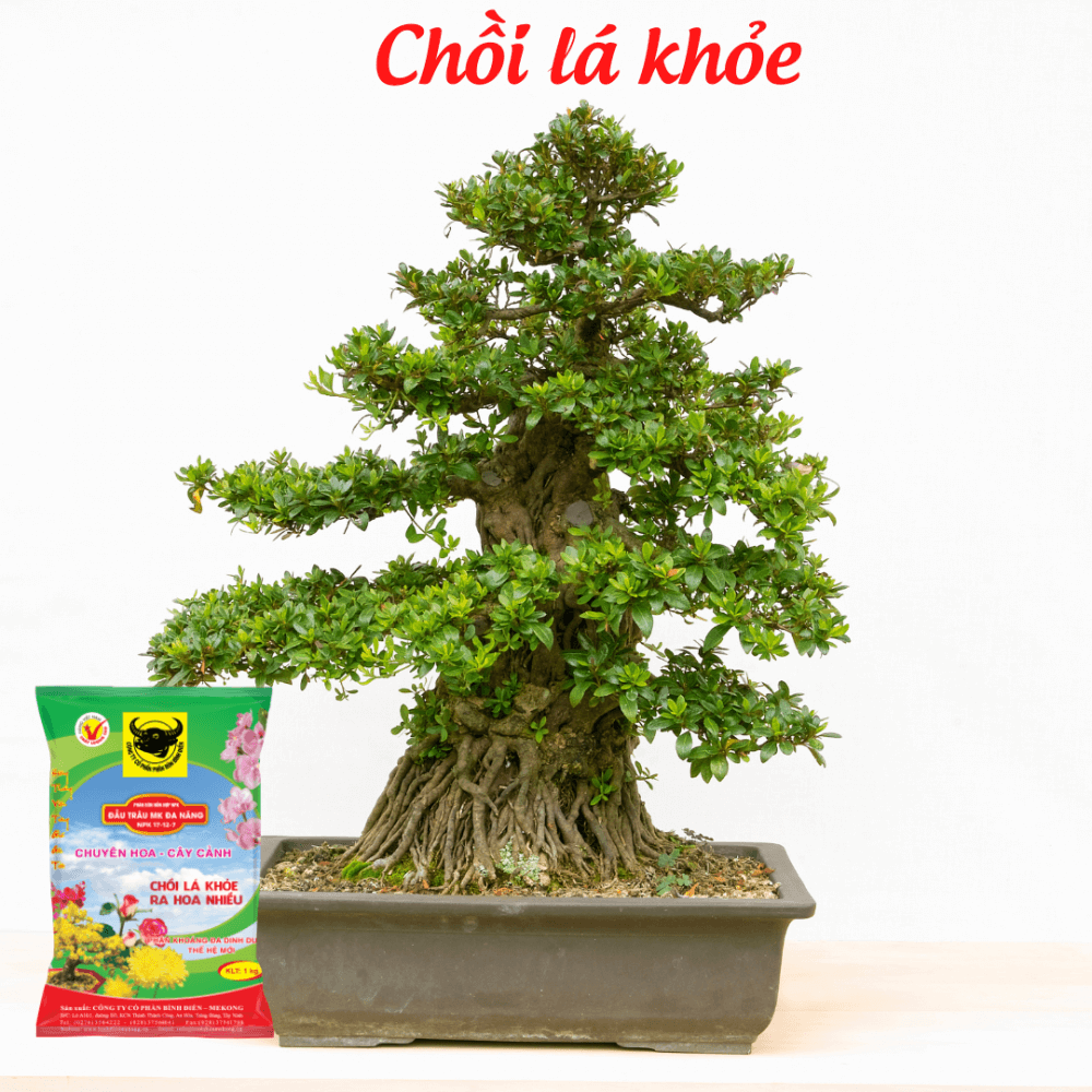Phân bón đầu trâu đa năng NPK 17-12-7+TE (gói 1kg) 2