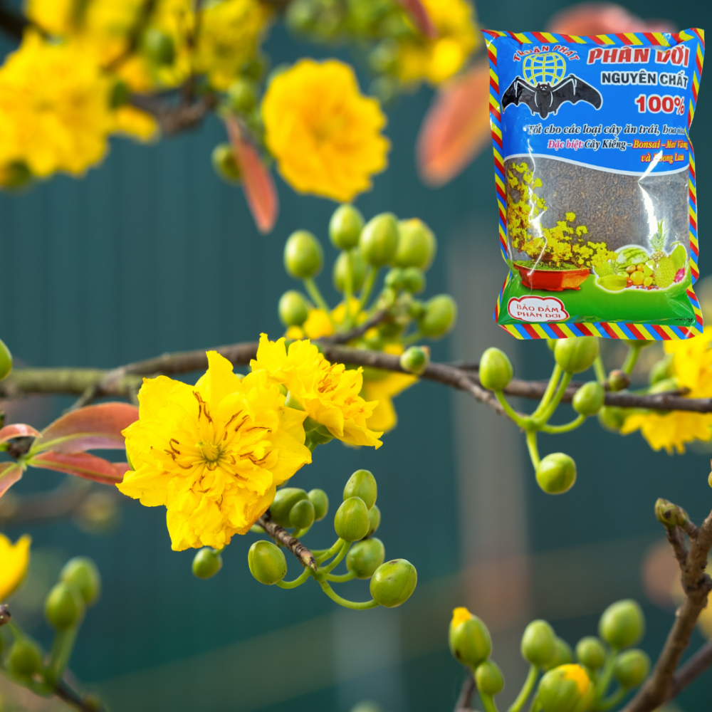 Phân dơi nguyên chất Thuận Phát – nguyên chất 100% 3