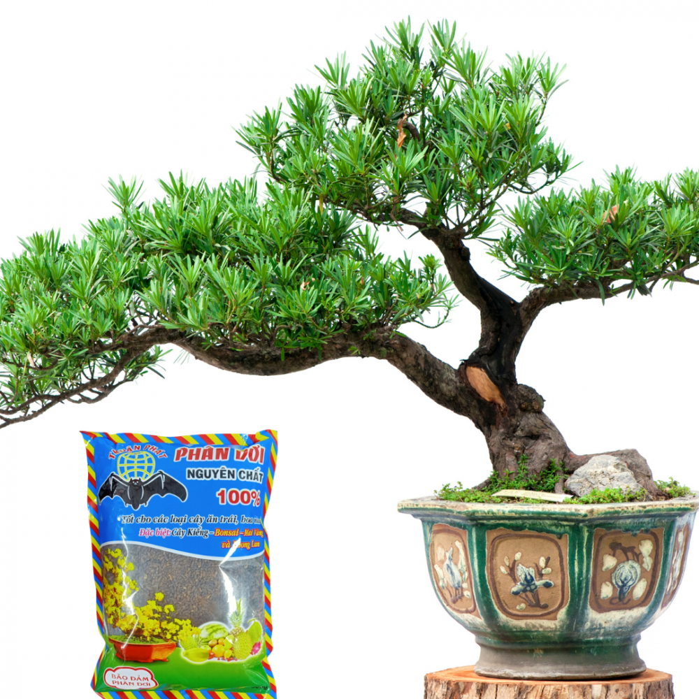 Phân dơi nguyên chất Thuận Phát – nguyên chất 100% 2
