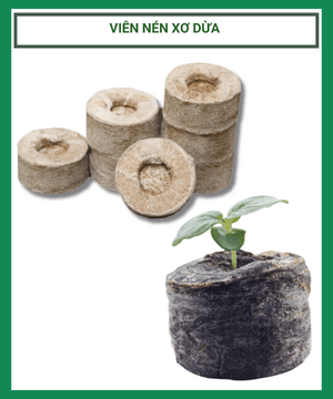 Viên nén xơ dừa – Giải pháp tuyệt vời cho việc ươm cây