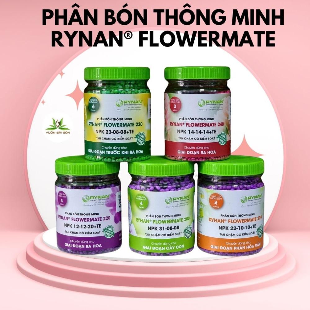 Phân bón thông minh Rynan – phân nở tan chậm 3