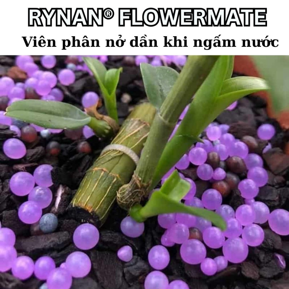 Phân bón thông minh Rynan – phân nở tan chậm 2