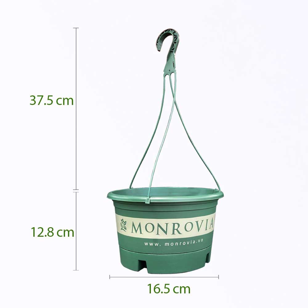 Chậu Nhựa Treo Monrovia Size S Màu Xanh