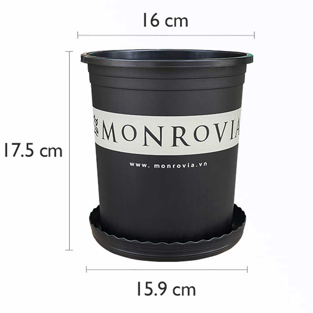 Chậu Nhựa Monrovia 1 Gallon Màu Đen O-series