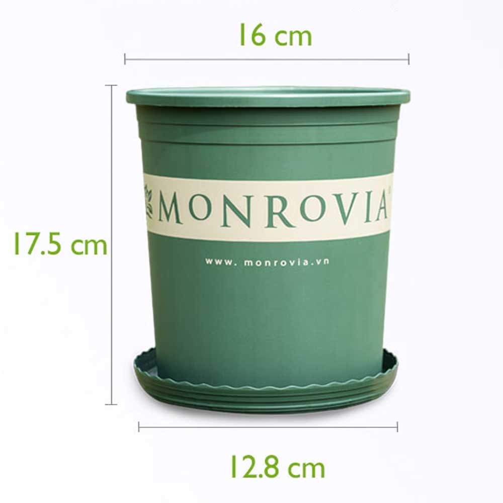 Chậu Nhựa Monrovia 1 Gallon Màu Xanh O-series