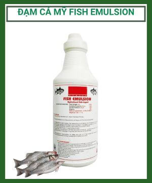 Phân bón đạm cá FISH EMULSION từ Mỹ