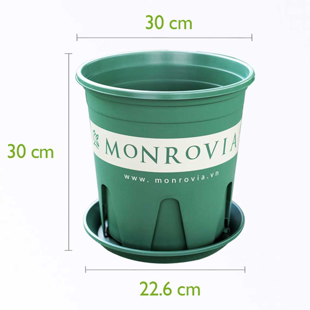 Chậu Nhựa Monrovia 6 Gallon Màu Xanh Tự Nhiên