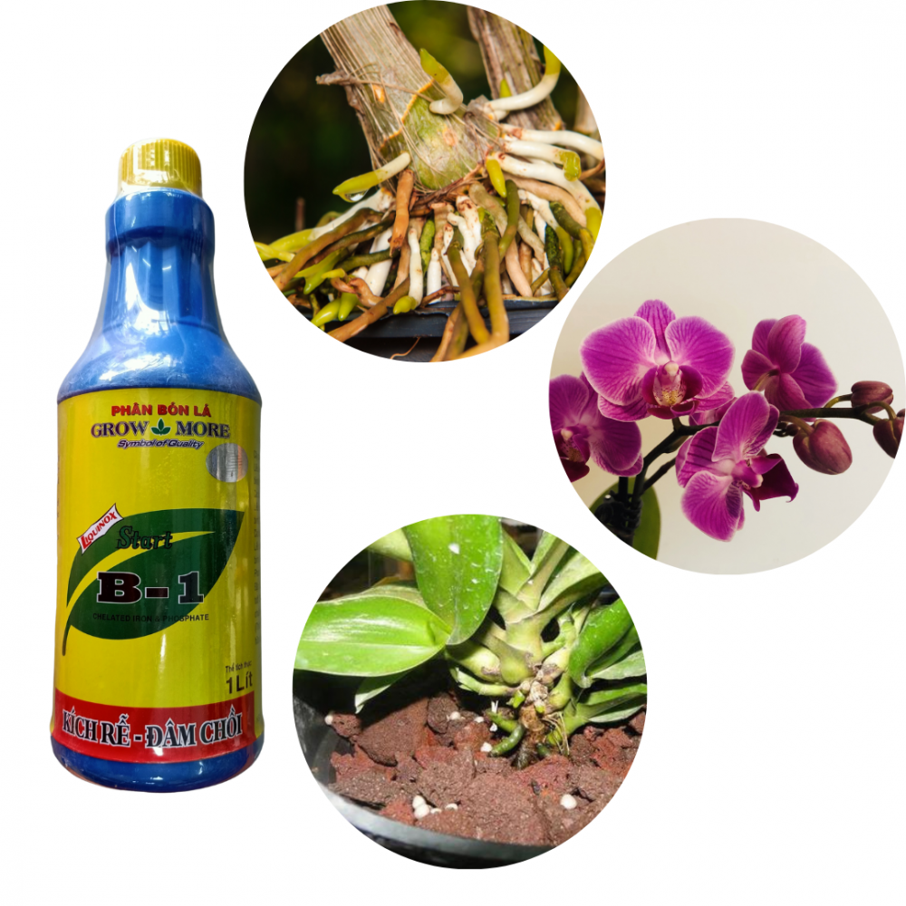 Phân bón lá Star Vitamin B1 Grow More 2