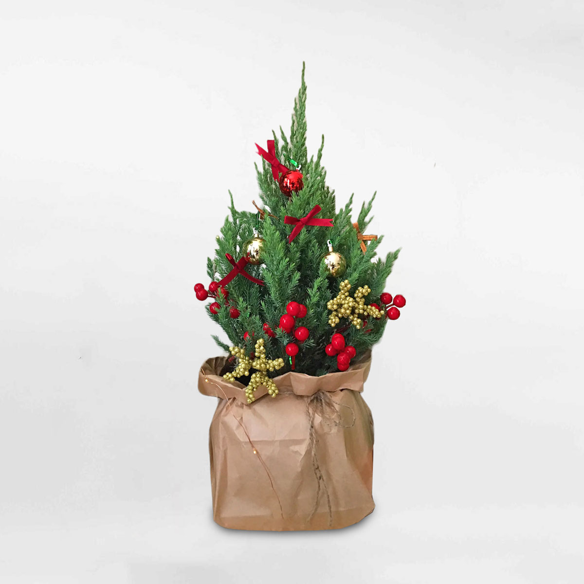 Cây thông noel mini để bàn trang trí giáng sinh PINA101