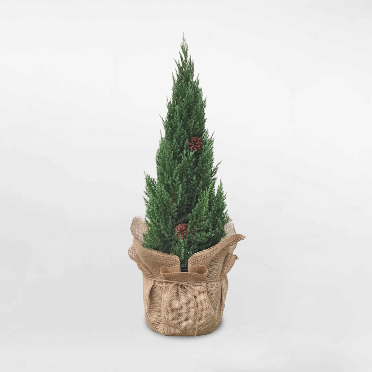 Cây thông noel mini để bàn trang trí giáng sinh PINA100