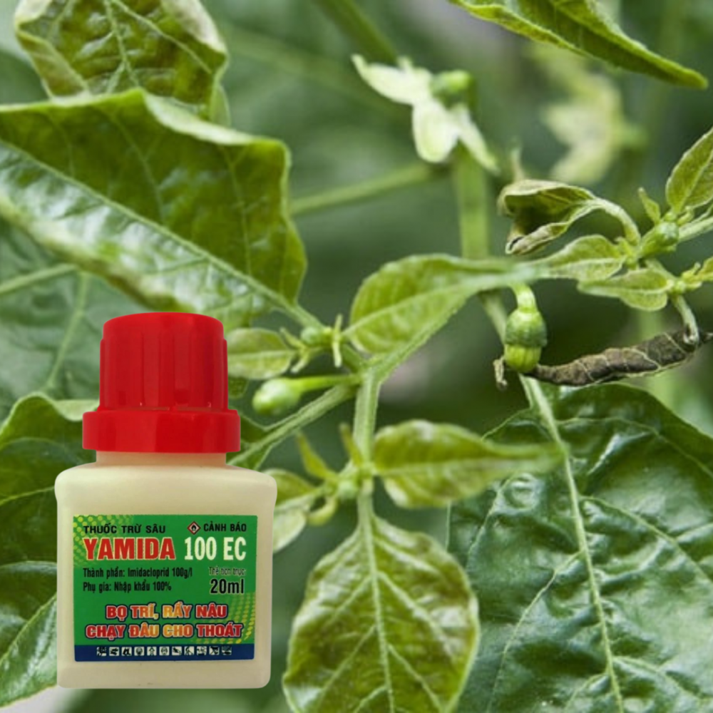 Yamida 100EC – Thuốc đặc trị bọ trĩ, rầy nâu 2