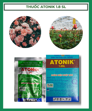 Thuốc Atonik 1.8SL – Kích Mầm, Kích Rễ Cực Mạnh