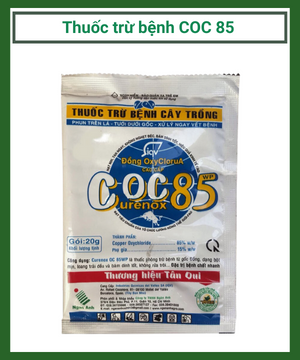 Coc85 thuốc đặc trị bệnh chết nhanh trên cây tiêu