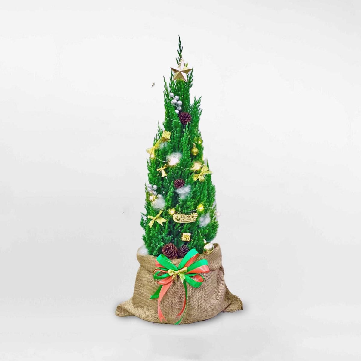 Cây thông noel mini trang trí giáng sinh PINA111