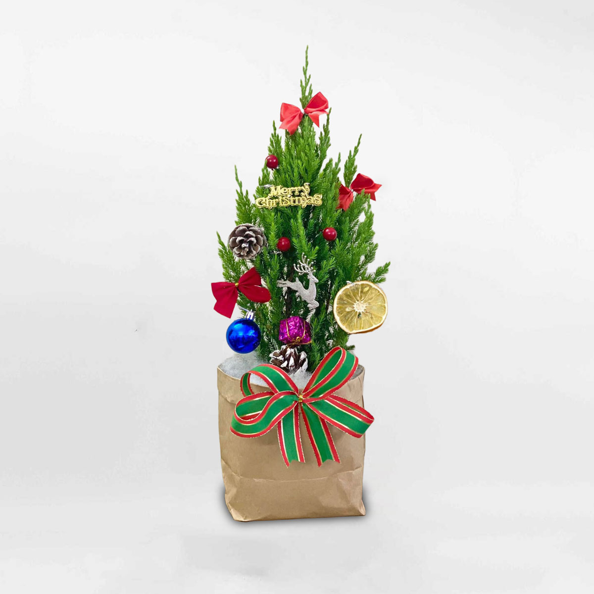 Cây thông noel mini trang trí giáng sinh PINA109