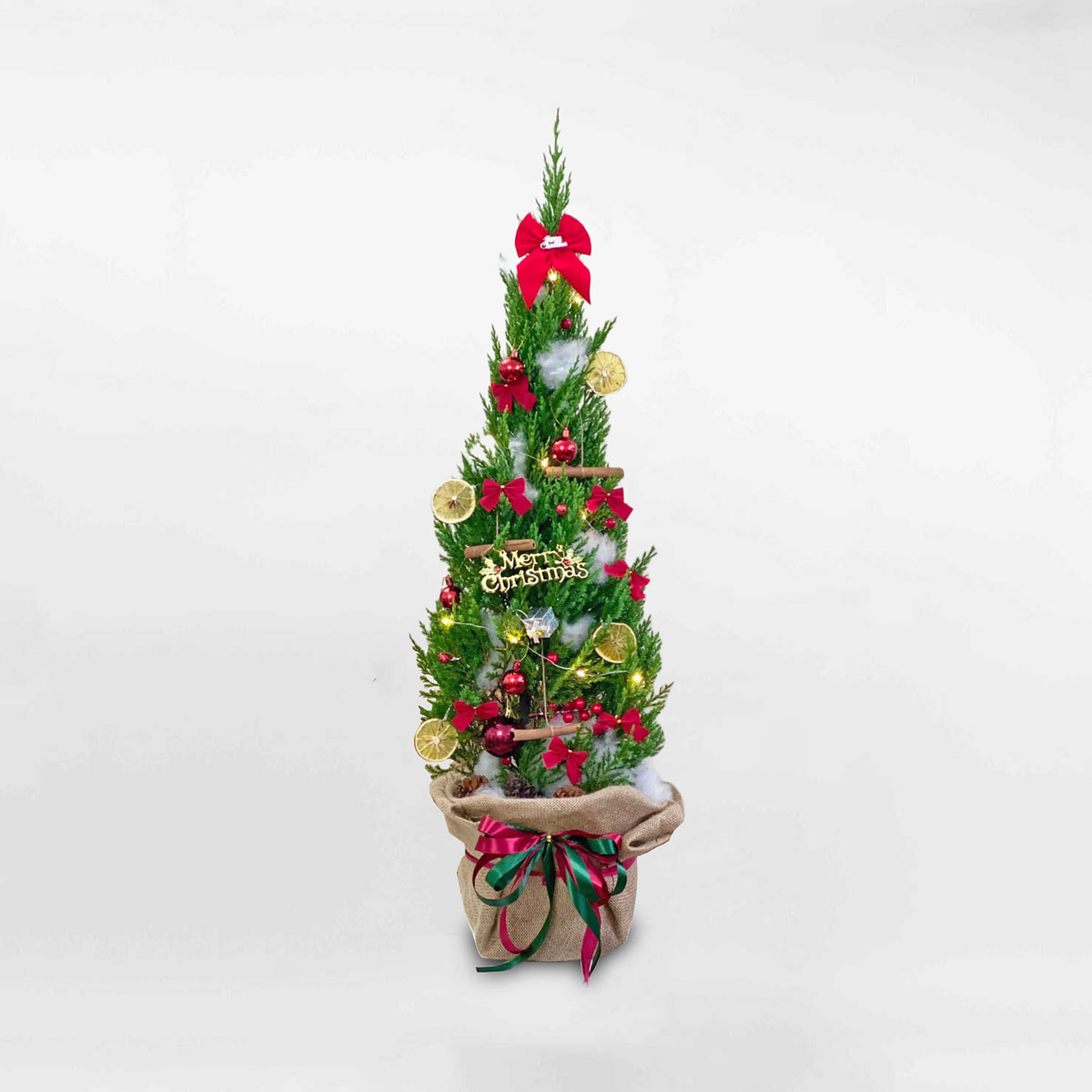 Cây thông noel mini trang trí giáng sinh PINA108