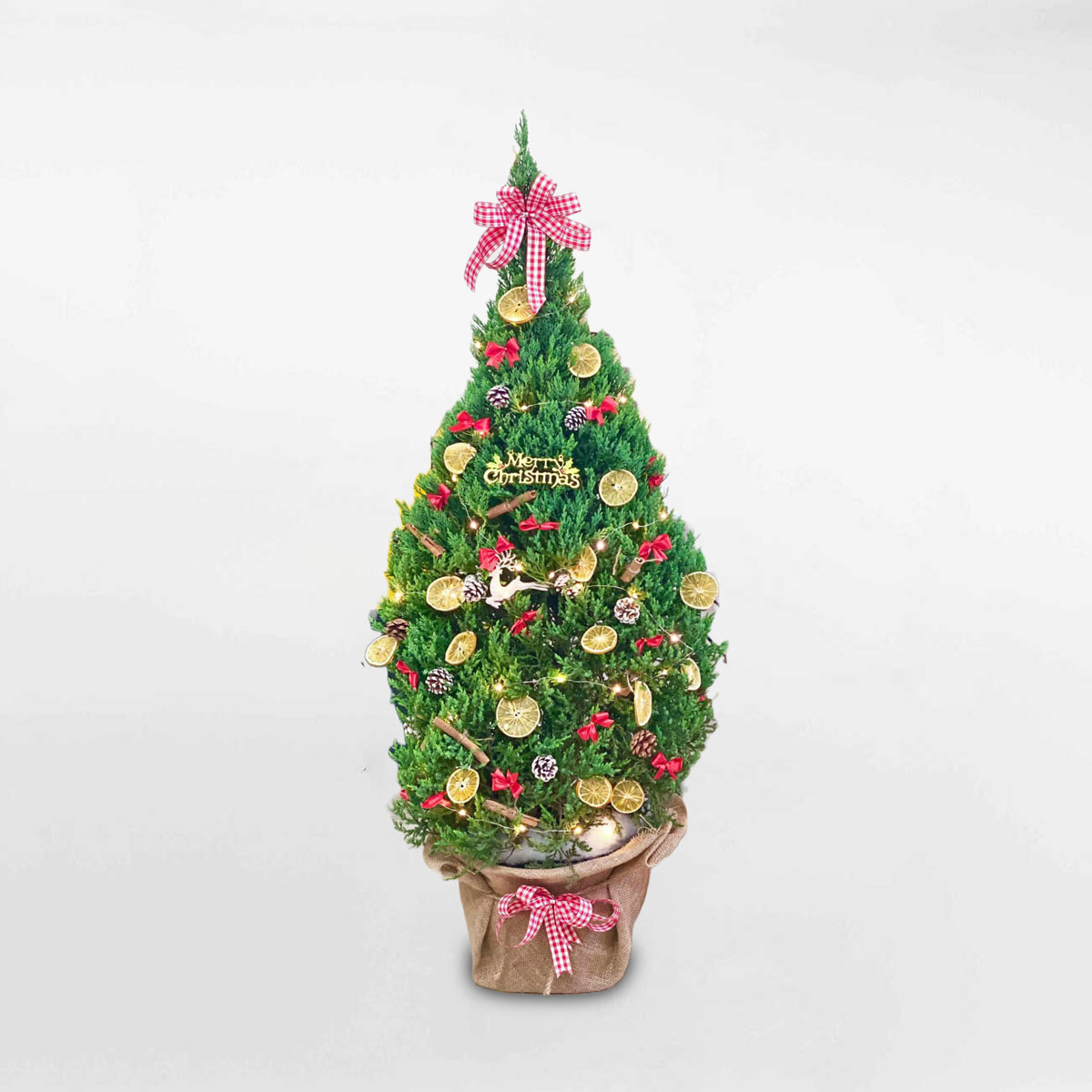 Cây thông noel cao 150cm trang trí giáng sinh PINA107