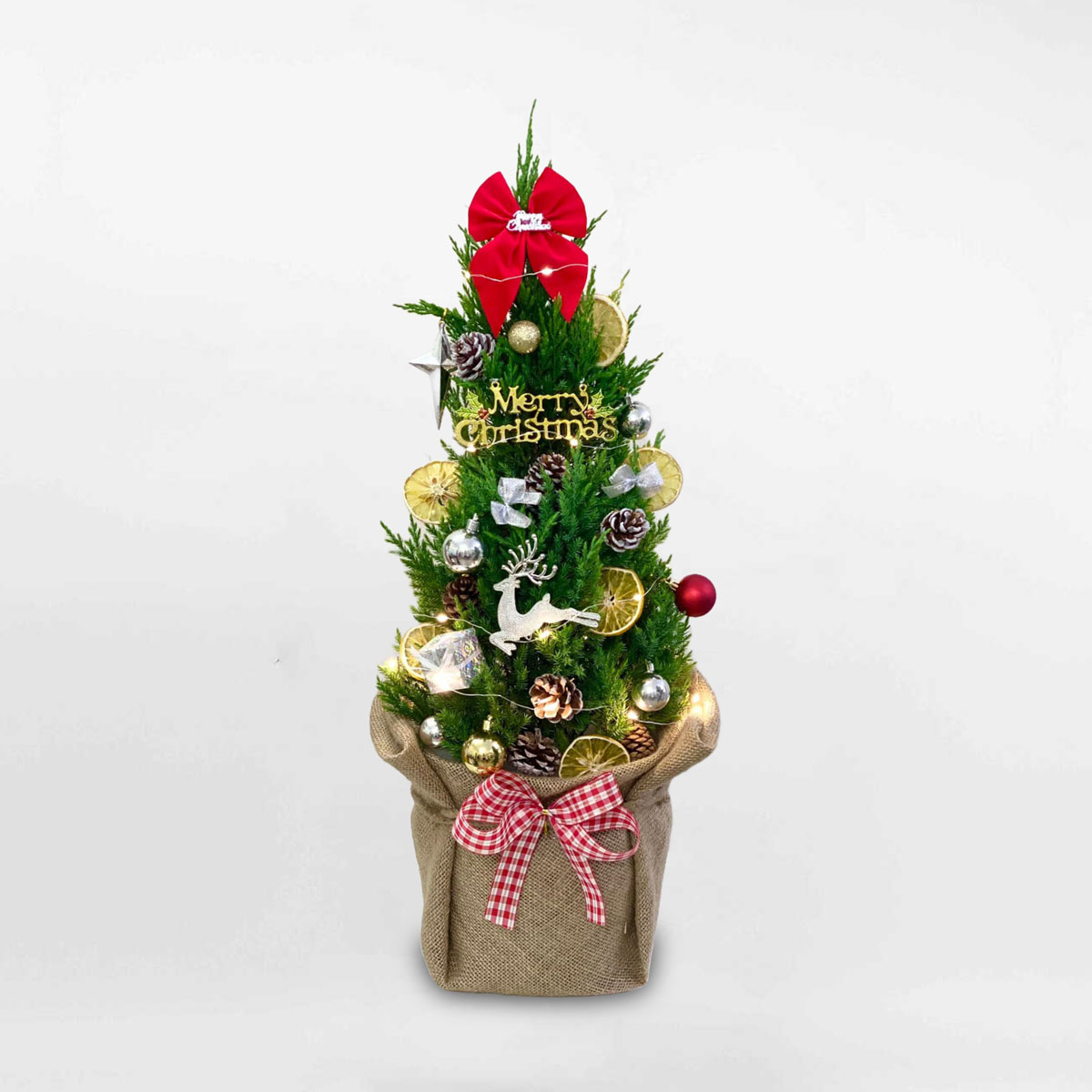 Cây thông noel mini để bàn trang trí giáng sinh PINA106